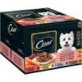 CESAR Portionsbeutel Multipack Selektion in Sauce 4 Variationen 24 x 100g