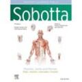 Sobotta Learning Tables of Muscles, Joints and Nerves, English/Latin, Gebunden