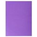 Exacompta Rock''s Aktendeckel Violett Pappkarton 210 g/m2 250 Stück