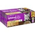 WHISKAS® PURE DELIGHT Portionsbeutel Multipack Mega Pack Geflügel Ragout in Gelee 40 x 85g