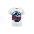 Jurassic World Print-Shirt Jurassic World Kinder T-Shirt Jungen Dinos Gr. 134 bis 164
