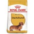 ROYAL CANIN Dachshund Adult Hundefutter trocken für Dackel 7,5kg