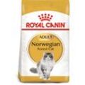 ROYAL CANIN Norwegian Forest Cat Adult Trockenfutter für Norwegische Waldkatzen 10kg
