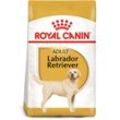 ROYAL CANIN Labrador Retriever Adult Hundefutter trocken 3kg