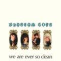 We Are Ever So Clean-Remastered Vinyl Edition - Blossom Toes. (LP)