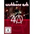 40th Anniversary Concert-Live In London - Wishbone Ash. (DVD)