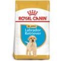 ROYAL CANIN Labrador Retriever Puppy Welpenfutter trocken 3kg