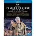 Plácido Domingo - Opera Gala - Domingo, Bernàcer, Orchestra of Arena di Verona. (Blu-ray Disc)
