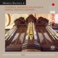 Orgelsonaten & Variationen Musica Baltica Vol.6 - Andrzej Szadejko. (Superaudio CD)