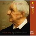 Frühe Orchesterwerke Arr.Für Orgel - Rudolf Innig. (Superaudio CD)