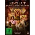 King Tut - Der Fluch des Pharao (DVD)