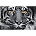 Deco-Panel Bild - Black Tiger 90 x 58 cm
