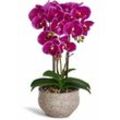 Künstliche Violett Orchidee Phalaenopsis 42 cm - Lila
