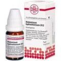 Histaminum hydrochloricum D 12 Globuli 10 g