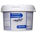 Kieselgur Equus Pulver f.Pferde 2000 g