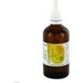 Grapefruit Kern Extrakt pur 100 ml