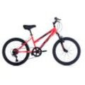 T&Y Trade Kinderfahrrad 20 Zoll Kinder Mädchen MTB Mountainbike Fahrrad Rad Bike STONE PINK