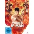 Young Ip Man: Crisis Time (DVD)