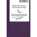 The Separatrix Project - Alexander Kluge, Katharina Grosse, Gebunden