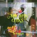 All Things Go - Mighty Oaks. (LP)