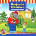 Benjamin Blümchen Band 95: Die Wunderblume (1 Audio-CD) - Benjamin Blümchen (Hörbuch)