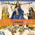 Motetten Bwv 225-231/Kantaten Bwv 50 & 118 - John Eliot Gardiner, Ebs, Monteverdi Choir. (CD)