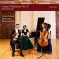 Mayseder: Kammermusik Vol.6 - Raimund Lissy, Maria Grün, Srebra Gelleva. (CD)
