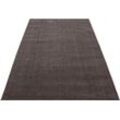 Teppich ATA, Ayyildiz Teppiche, rechteckig, Höhe: 10 mm, Kurzflor, uni, große Farbauswahl, robust, auch als Läufer und in rund, braun