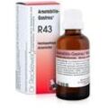 ARSETABILIS-Gastreu R43 Mischung 22 ml