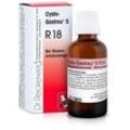 Cysto-Gastreu S R18 Mischung 22 ml