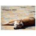 CALVENDO Wandkalender Whippet 2024 (Tischkalender 2024 DIN A5 quer)