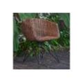 Casa Moro Stuhl Rattan-Sessel Paris braun mit Armlehne aus Naturrattan handgeflochten (Korb-Stuhl Korb-Sessel Rattanstuhl