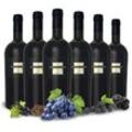 Vorteilspaket 6 Flaschen Sessantanni Primitivo di Manduria DOC