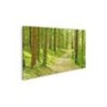 islandburner Leinwandbild Bild auf Leinwand Winding Path Through Lush Foliage Finnland Wandbild