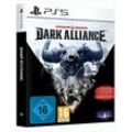 Dungeons & Dragons Dark Alliance Steelbook Edition Playstation 5