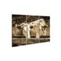islandburner Leinwandbild Bild auf Leinwand Kühe In Den Europäischen Alpen Foto Wandbild Leinwa