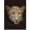 Kinzler Digitalbedruckte Wohndecke Leopard, 150 x 200 cm