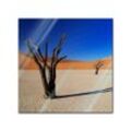 Bilderdepot24 Glasbild, Tote Bäume im Death-Valley-Nationalpark