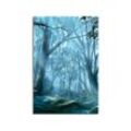 Sinus Art Leinwandbild Walk Through the Woods Fantasy Art 90x60cm