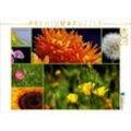 CALVENDO Puzzle CALVENDO Puzzle Florales zu jeder Jahreszeit 1000 Teile Lege-Größe 64 x 48 cm Foto-Puzzle Bild von Anette Jäger