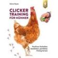 Clickertraining für Hühner