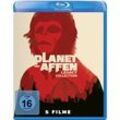 Planet der Affen - Legacy Collection (Blu-ray)