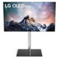 LG TV Stand für OLED 42/48/55/65 C2-Serie (Spectra TV-Wandhalterung