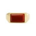 Fossil Fingerring JEWELRY ALL STACKED UP, JF04603040, JF04605710, mit Agate, gelb|goldfarben|rot