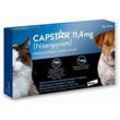 CAPSTAR 11,4 mg für Katzen und kleine Hunde