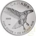 1 Unze Silbermünze Kanada Birds of Prey - Red-Tailed Hawk - Rotschwanzbussard...
