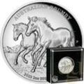 2 Unzen Silbermünze Australien Brumby 2023 - High Relief - polierte Platte