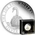 1 Unze Silbermünze Australien Schwan 2023 - polierte Platte