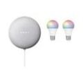 Google Nest Mini + Hombli Smart Bulb E27 Color 2er-Pack