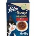 FELIX Soup Geschmacksvielfalt vom Land mit Rind, Huhn und Lamm 8x6x48g
